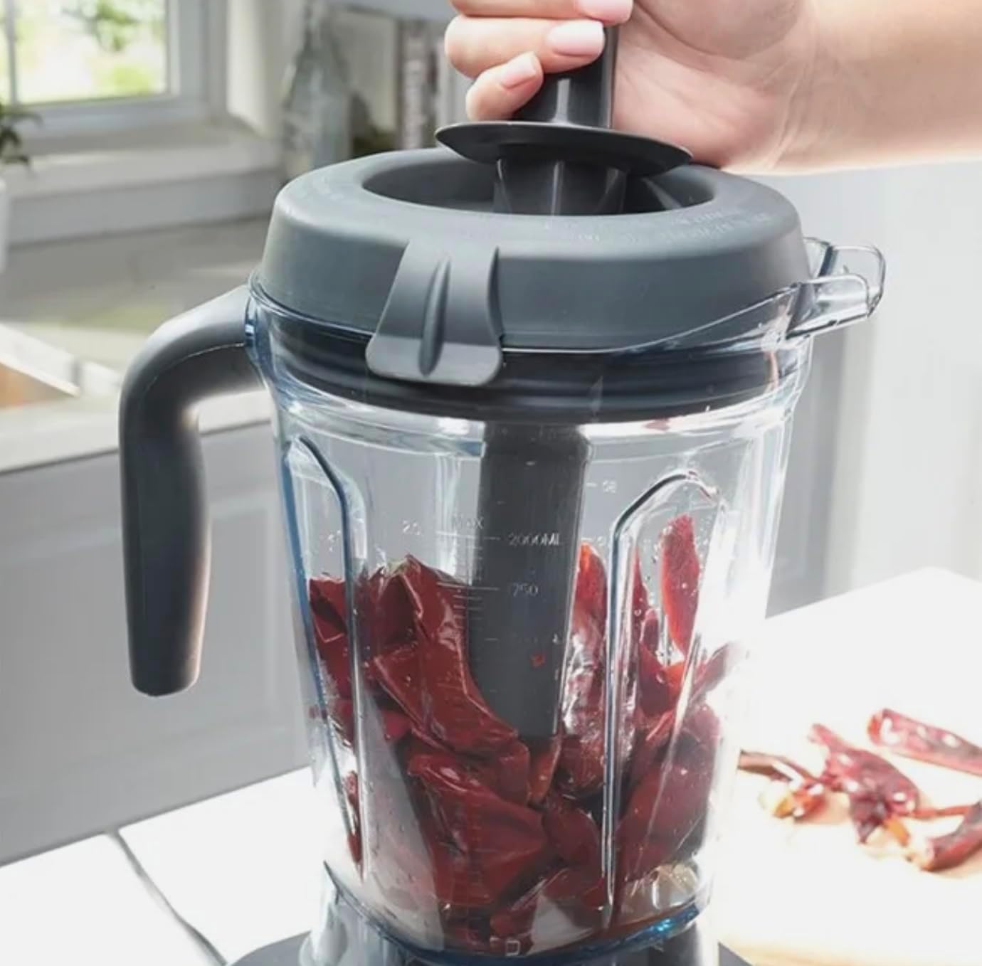 Princess House VIDA SANA ELECTRICS High-Power Blender 4571