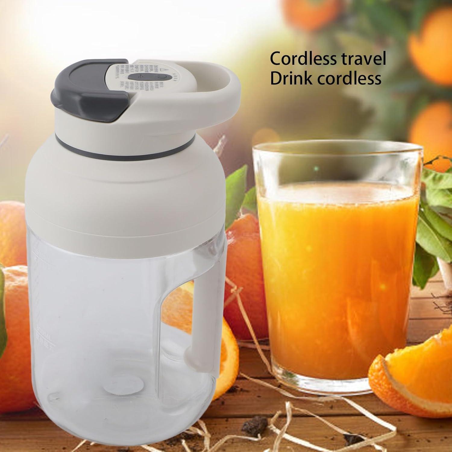 Diydeg Portable Juicer, 800ml Blender Cup, Portable Blender with 3000mAh Battery, Ergonomic Handle, Blender for Home, Sports, Office, and Travel (Gray)