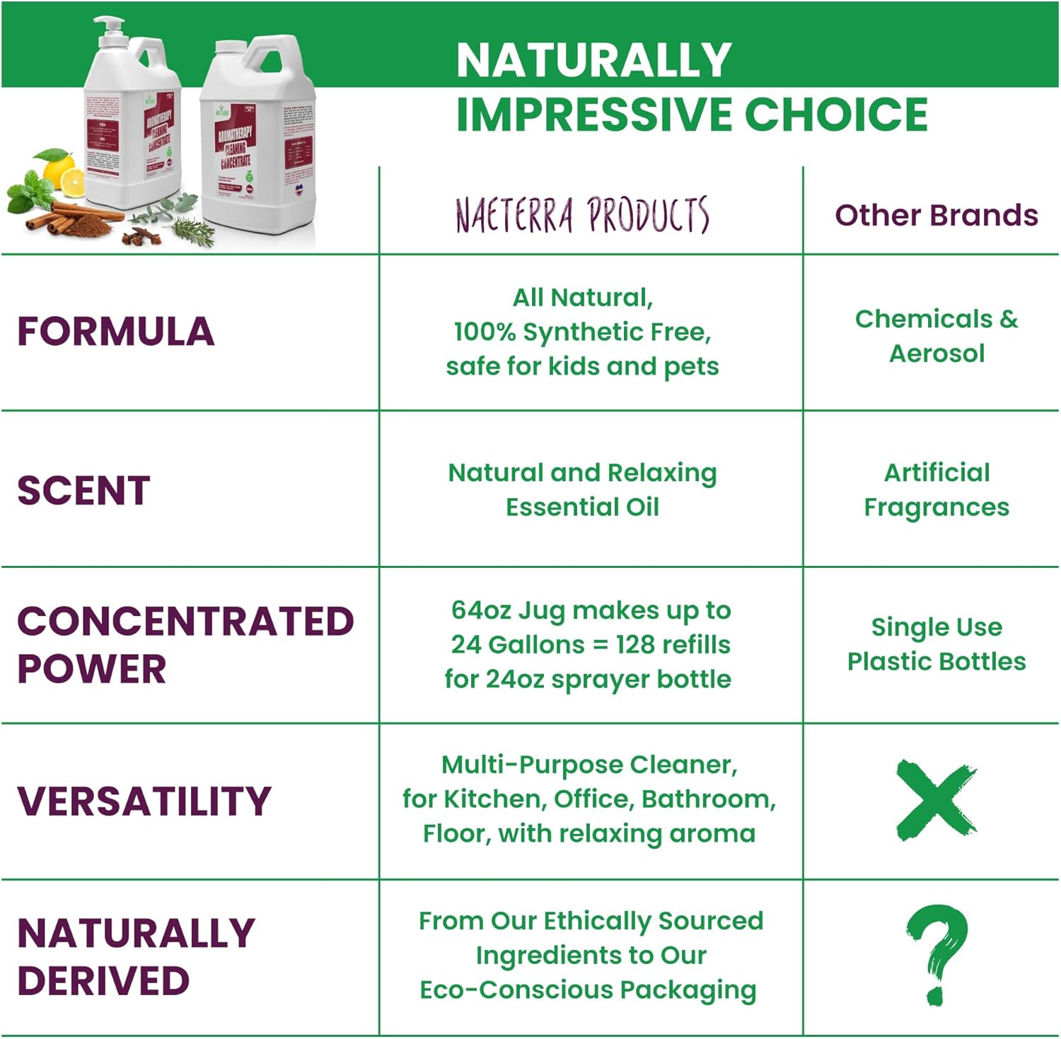 Naeterra Original Aromatherapy Cleaning Concentrate, Plant-Based Household Cleaner 64 oz with Included 10 mL Essential Oil Blend – Clove, Lemon, Cinnamon, Rosemary, Eucalyptus, and Peppermint Oils