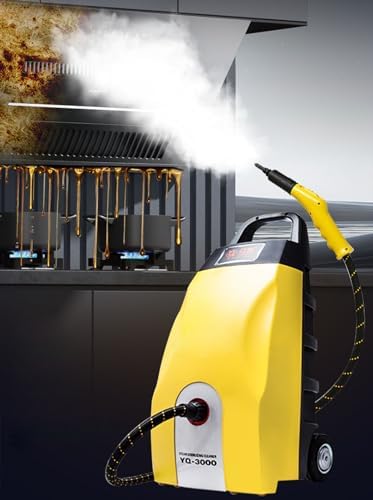 Steam Cleaner High Temperature Steam Engine for Home High Pressure Car Washing Machine Air Conditioner Cleaning Machine