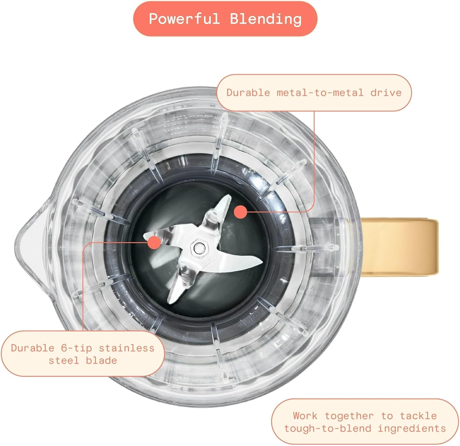 Beautiful PowerExact Blender System with 700W Motor, 50oz Tritan Jar, 20oz Single-Serve Cup, No Drippy Sippy™ Lid, 3 Speeds & 4 Pre-sets by Drew Barrymore (White Icing)