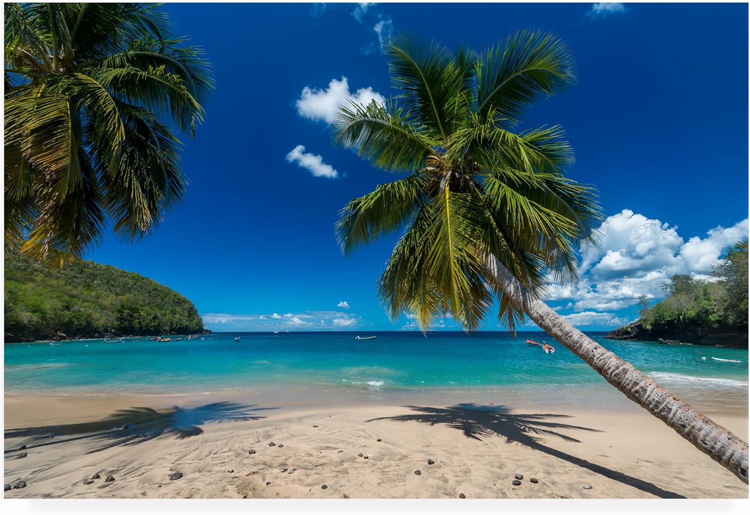 Trademark Fine Art ' Martinique ' Outdoor Canvas by Mathieu Rivrin