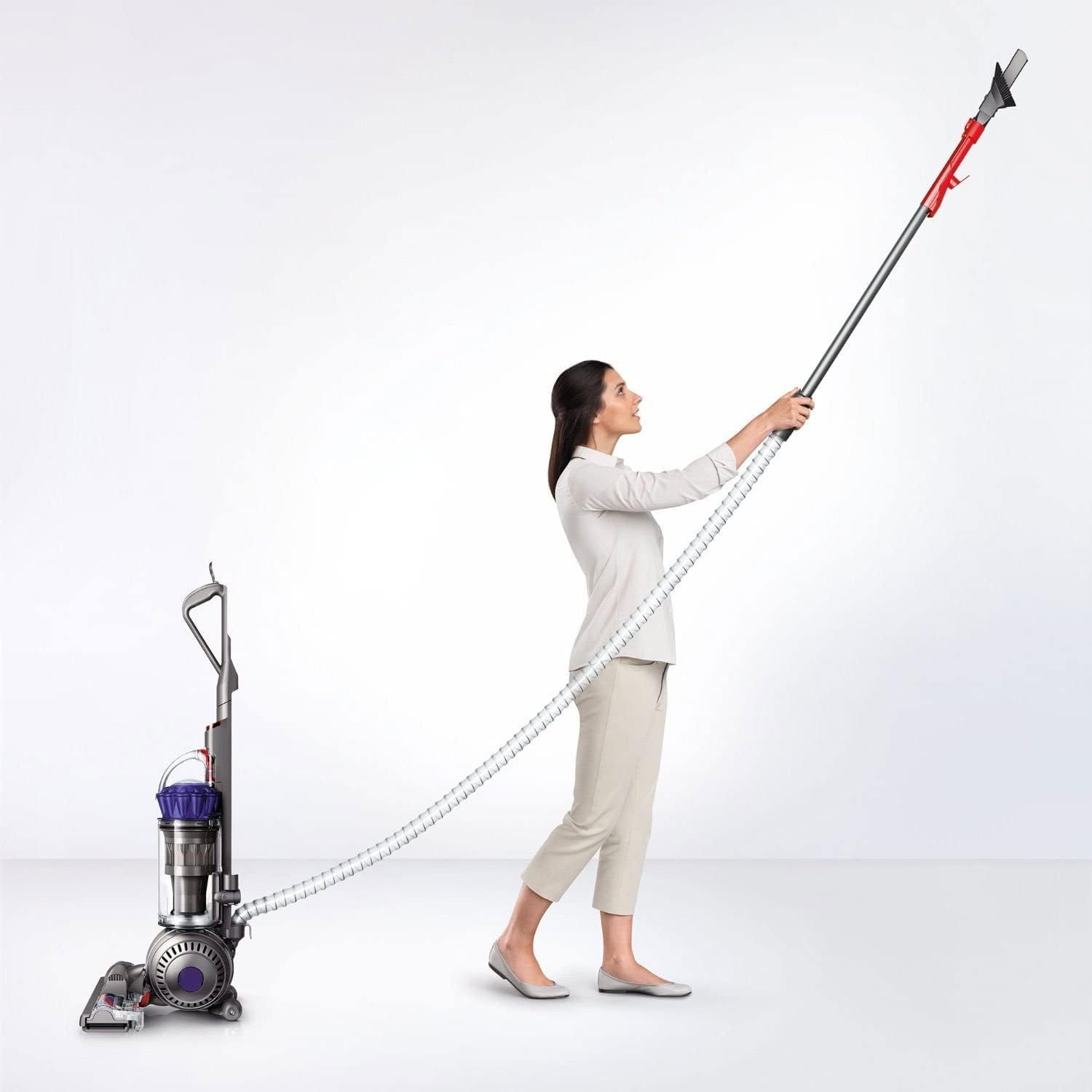 Dyson Ball Animal 2 Upright Corded Vacuum Cleaner: HEPA Filter, Height Adjustment, Self-Adjusting Cleaner Head, Telescopic Handle, Rotating Brushes, Purple