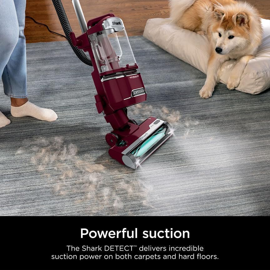 Shark Detect Lift-Away Upright Vacuum with PowerFins Detect Corded Self-Cleaning Brushroll for No Hair Wrap, Anti-Allergen and Odor Neutralizer Technology QU490QBL (Renewed)