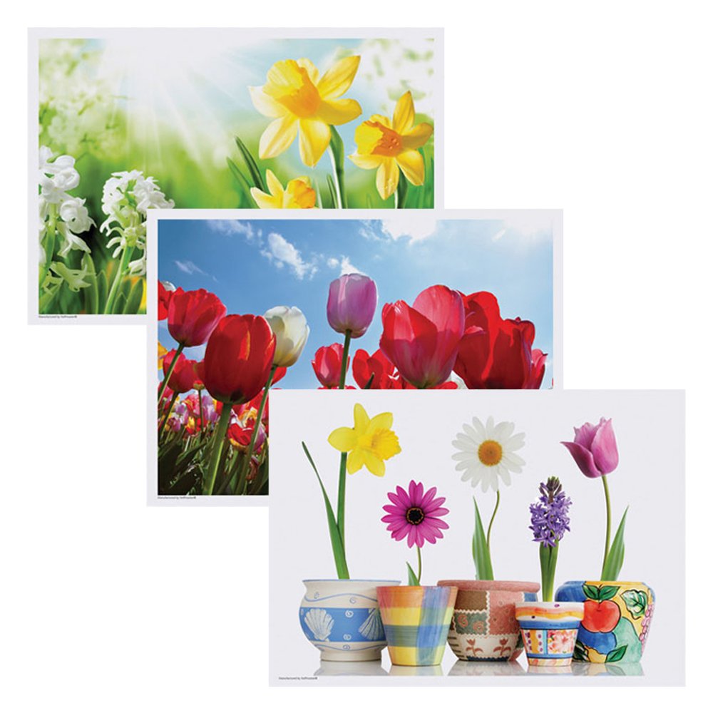 Hoffmaster 702076 Placemat Multipack, 3 Designs, 14