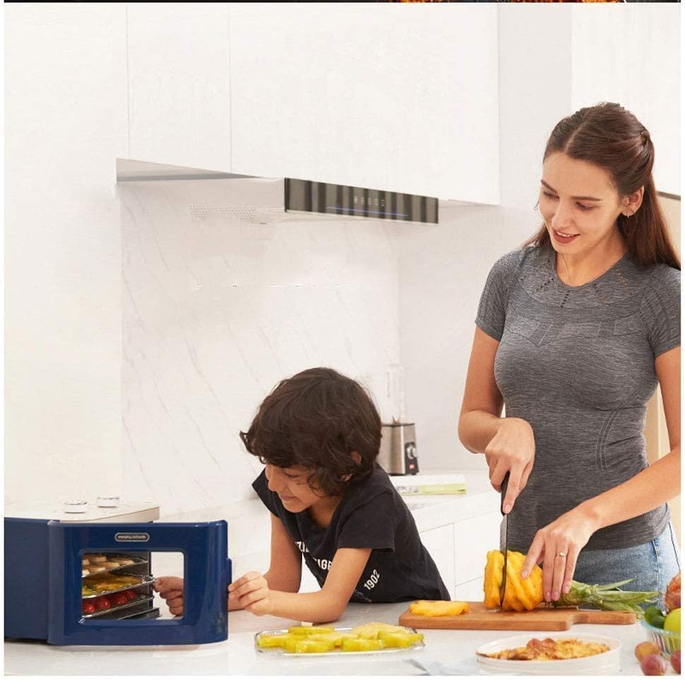 oven mini oven air fryer oven Mini Oven, Rotary Rotisserie, 400 Watts Power, 4 Layers Large Capacity, Automatic Cooling Function, Sound Signal Toaster Oven Air Fryer,