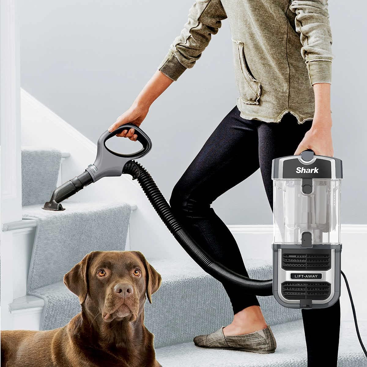 Shark UV725 Navigator Lift-Away with Self Cleaning Brushroll Upright Vacuum with HEPA Filter (Renewed)