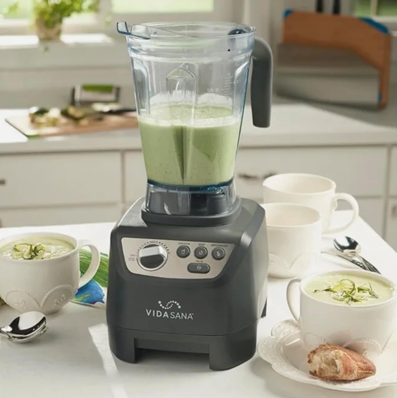Princess House VIDA SANA ELECTRICS High-Power Blender 4571