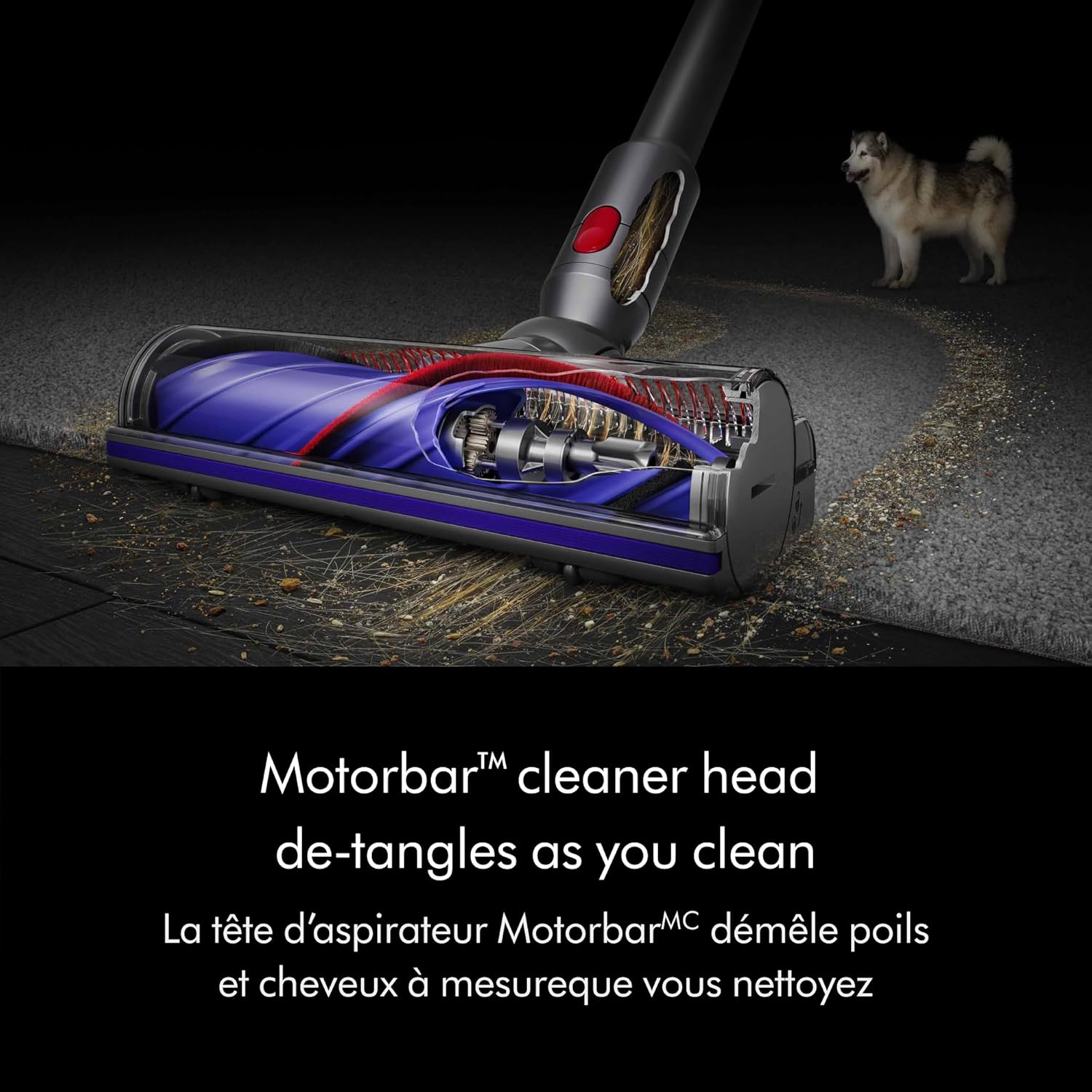 Dyson V8 Origin Vacuum (Renewed)