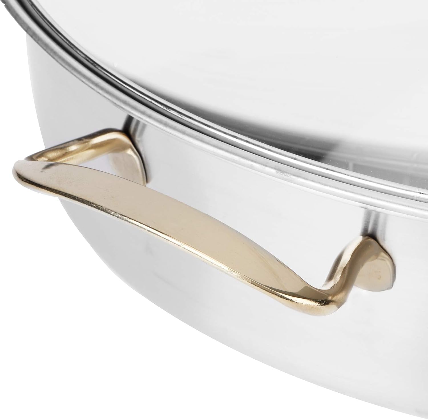 Stainless Steel Oval Fish Steamer, Multi Use Cookware with Rack Kitchen Steam Pot and Lid Home Roasting Pan Plate Small Kitchen Appliances Stockpot for Vegetable Steaming Boiling Soup Roast Turkey