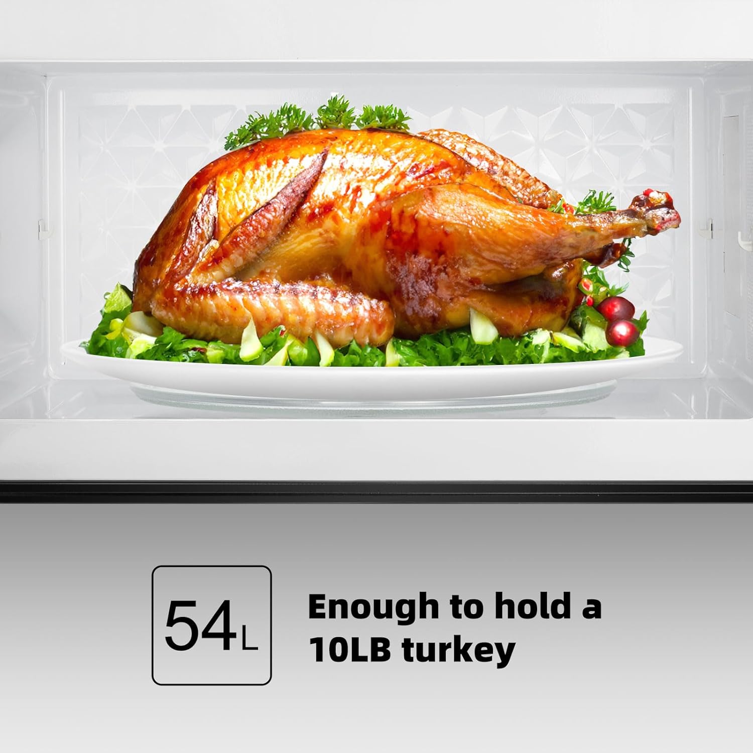 Gasland 24 Inch Electric Wall Oven + Over the Stove Microwave 30 Inch