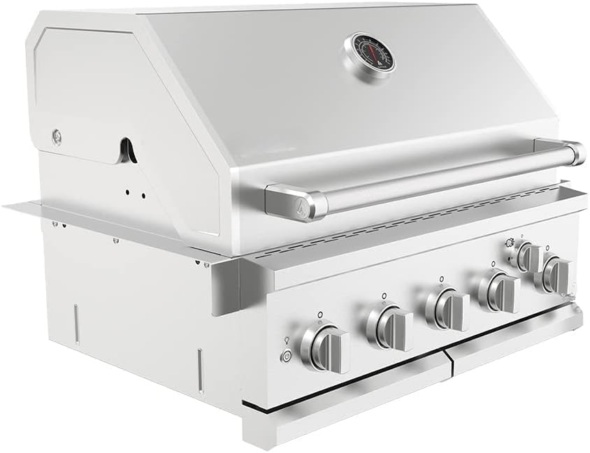 Premium 5 Burner Built In Gas Grill Island Head, Stainless Steel 30 Inch Propane Grill with Rear Burner, 63,000 BTUs, 750 SQ In Racks, Dual Fuel Compatibility