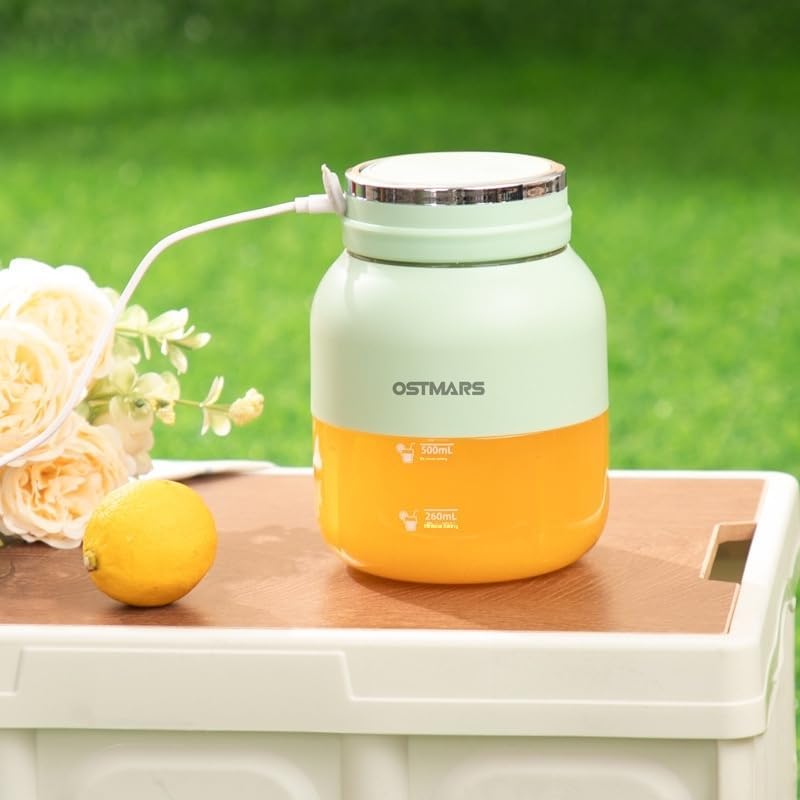 OSTMARS Portable Fruit Blender, Mint Green and Orange, Automatic Mini Juicer Cup with 500mL Capacity