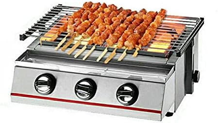 Portable Gas Grill,Propane Tabletop Grill 2-Burners BBQ,Stainless Steel Cooker Camping Grill/Outdoor Grill/Homes Grill/Small LPC Gas BBQ Grill Perfect for Camping,Picnics RV Grill Barbecue Use ( Color