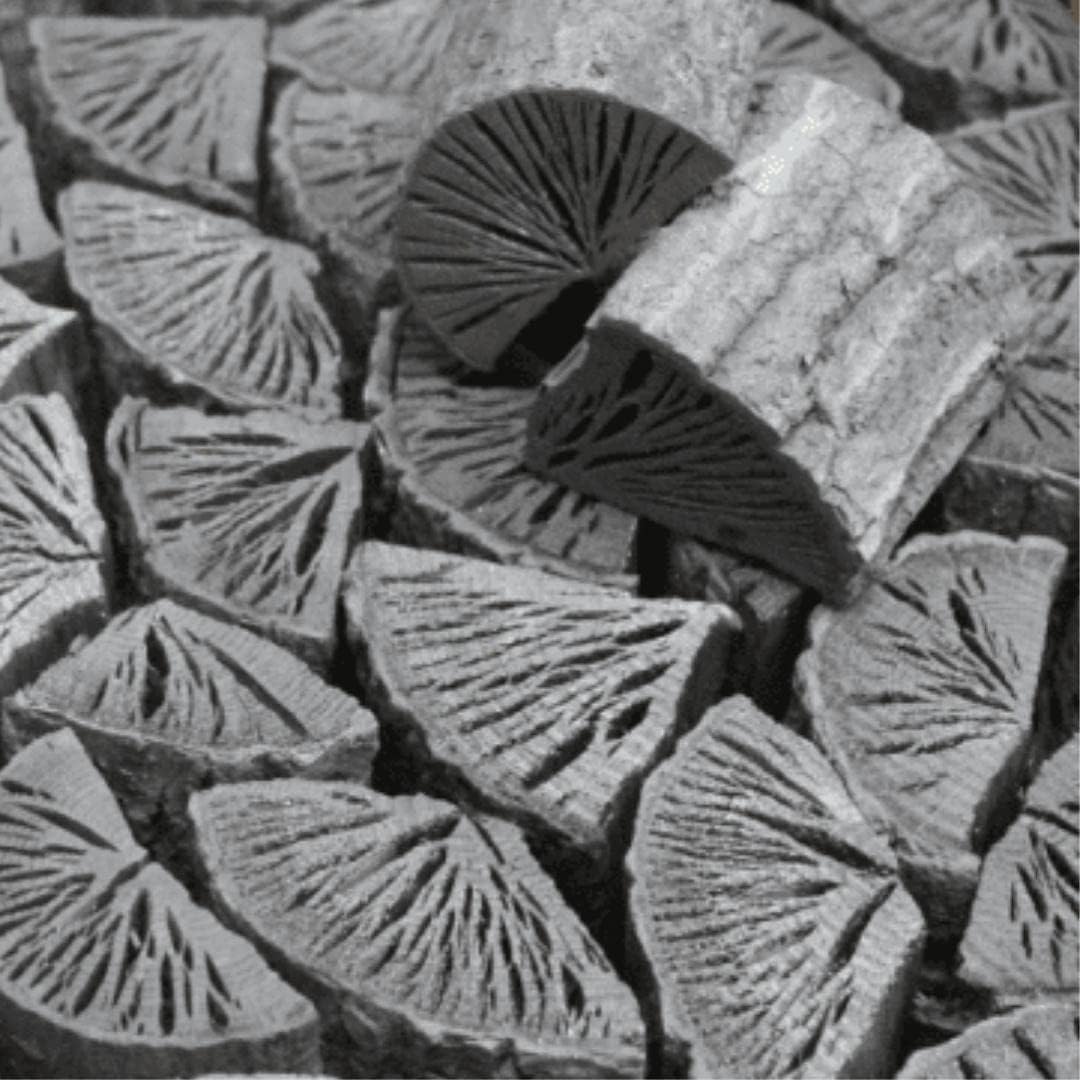 Charcoal Japanese High-Grade/Oak Tree - 2 Size - L 2 in (6 cm) / BBQ, Outdoor, Charcoal Grill, Yakitori (212 oz (6 kg))