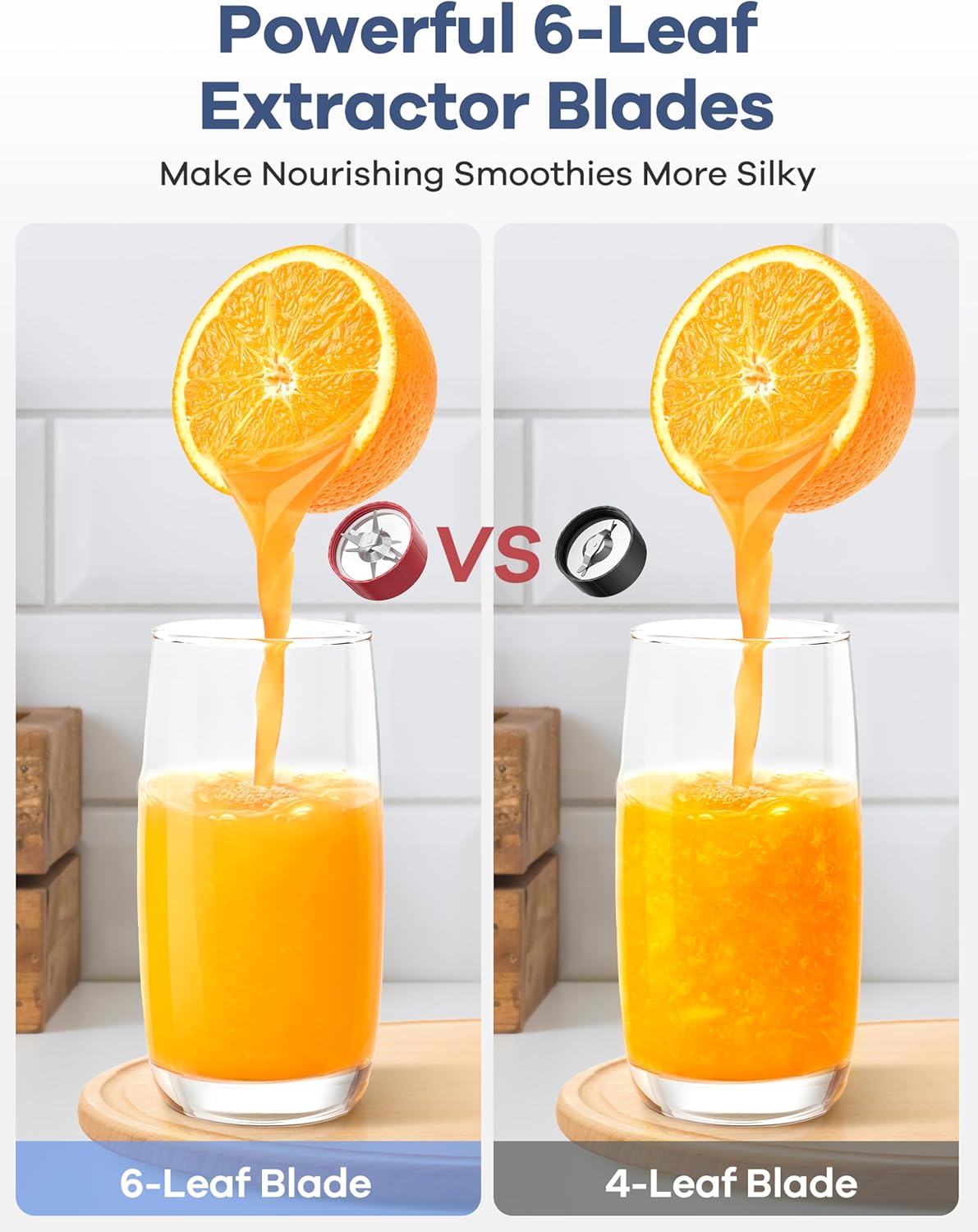 Ganiza GB08 Smoothie Blender and GB10 Personal Blender