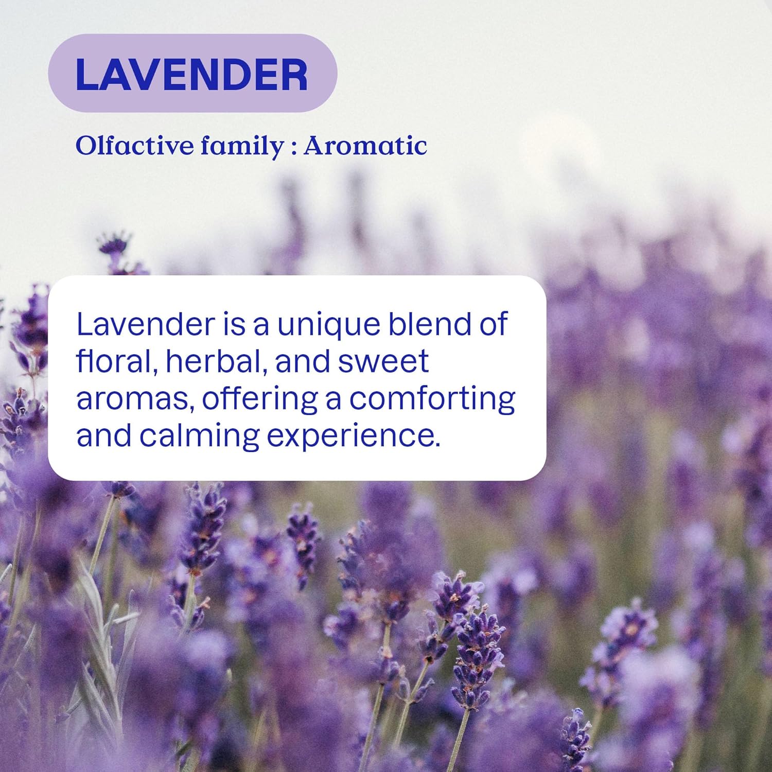 ATTITUDE Liquid Laundry Detergent Refill, EWG Verified, HE Compatible, Plant-Based & Vegan, Natural Laundry Soap, Lavender Scent, 160 Loads, 135.26 Fl Oz (Pack of 2)