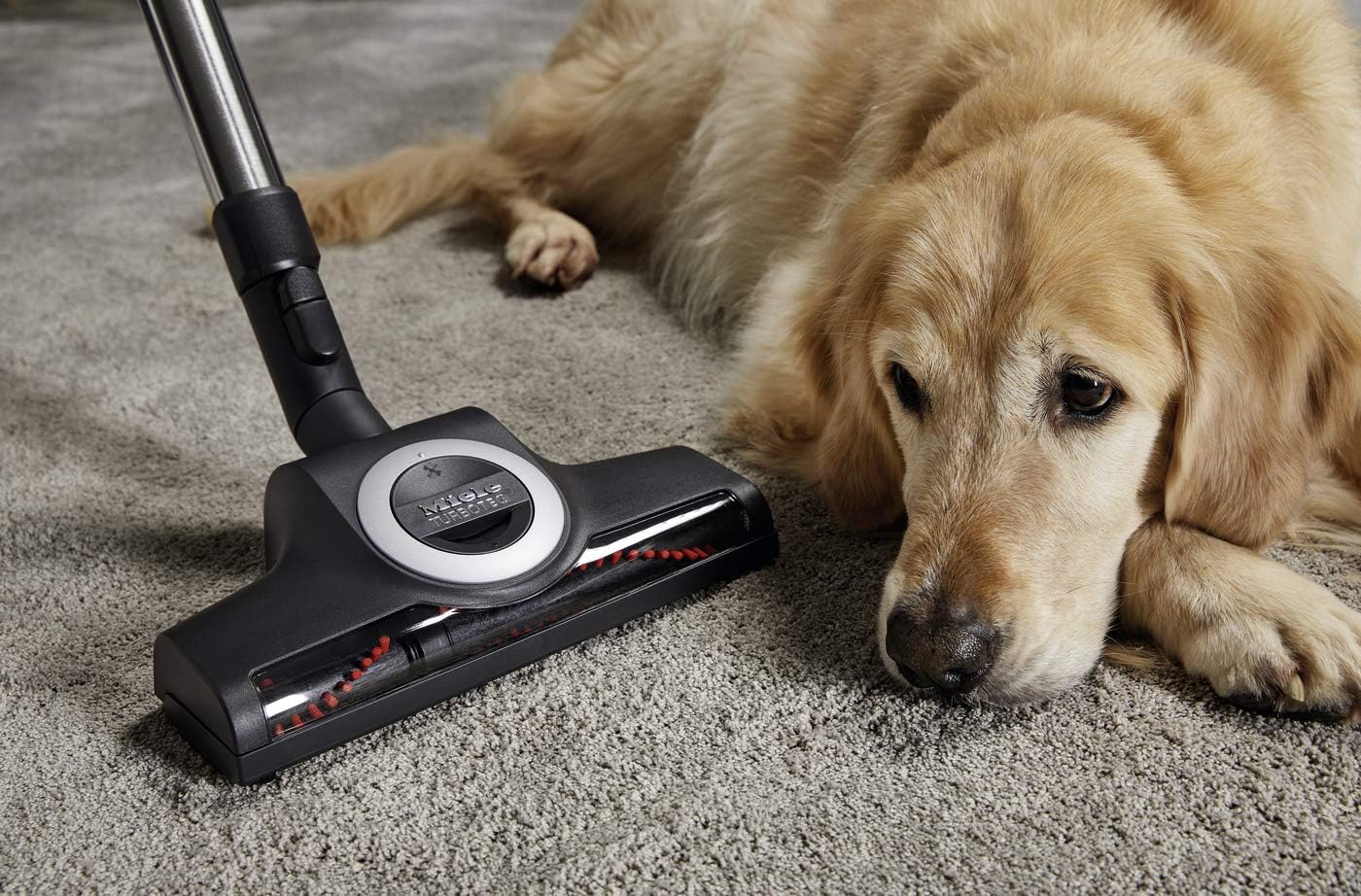 Miele SKCF3 Blizzard Cx1 Cat&Dog PowerLine Aspirapolvere, 890 watts, 2 litri, 76 decibels, Rosso Mango