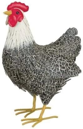 Hen Black Metal