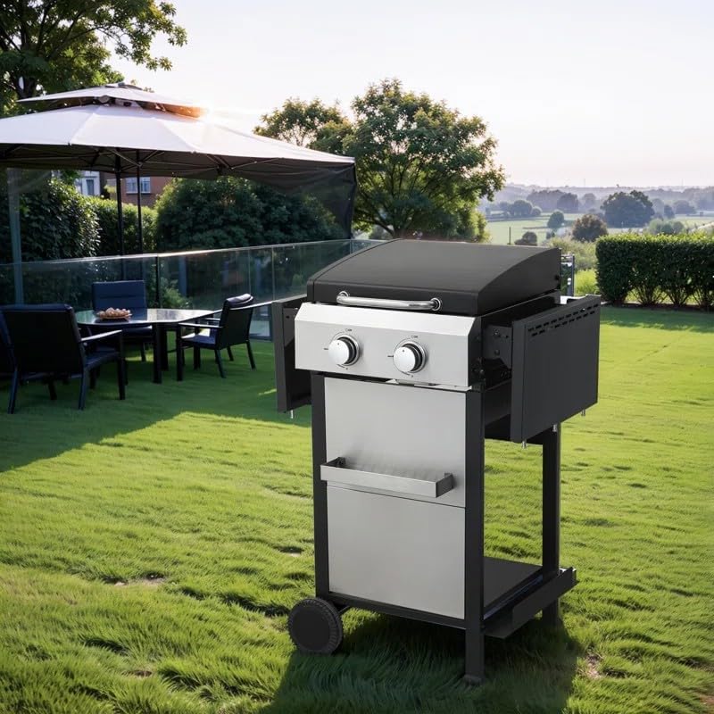 2-Burner Propane Gas Grill,24600BTU Output With Wire Enamel Cooking Grids For Outdoor barbecue grill, Foldable Side Table, Hanging Basket, Stainless Steel