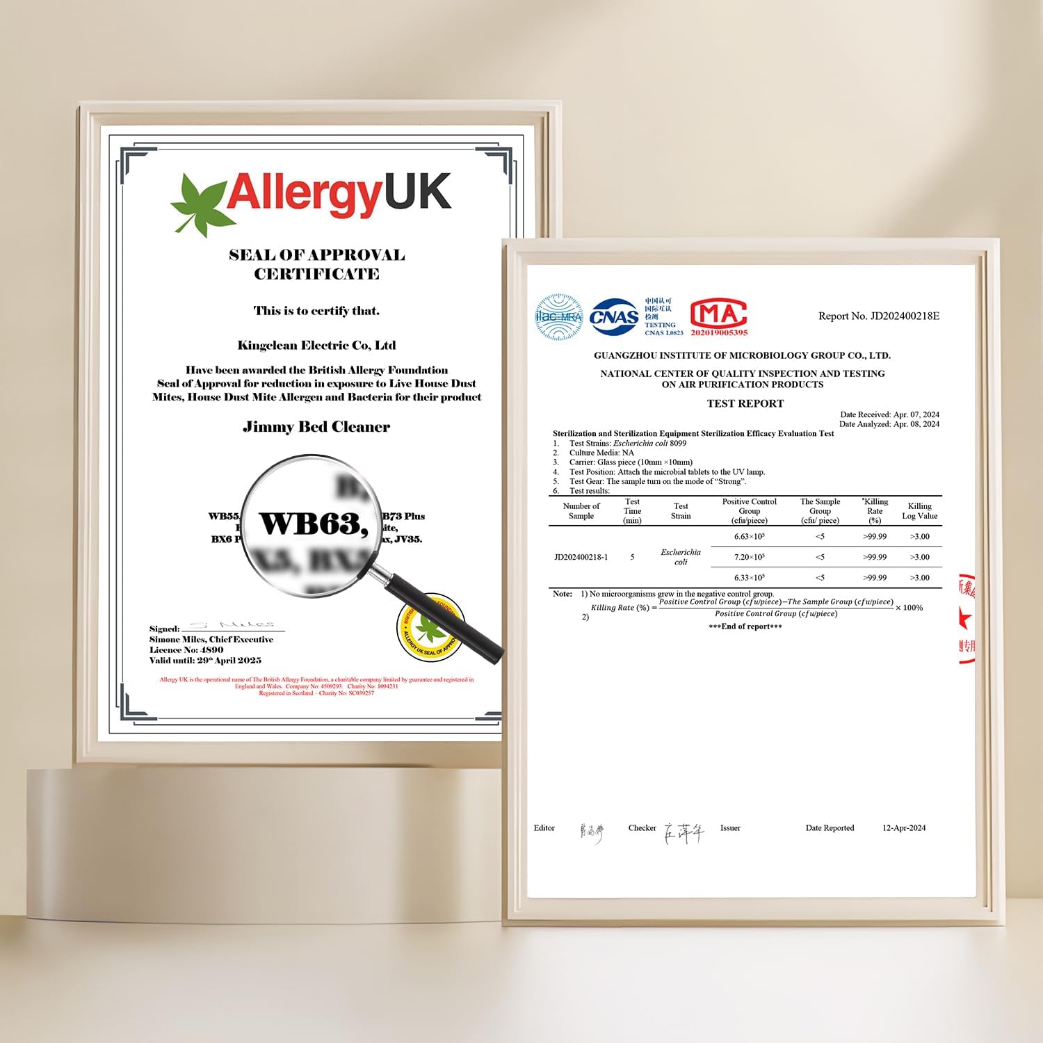 Jimmy WB63 Mattress Vacuum Cleaner UV Sanitizing | Bed Vacuum Cleaner for Dust Mites, Corded with UV-C Light, Strong Suction, Dual Cyclone Filtration for Deep Mattress Cleaning & Upholstery