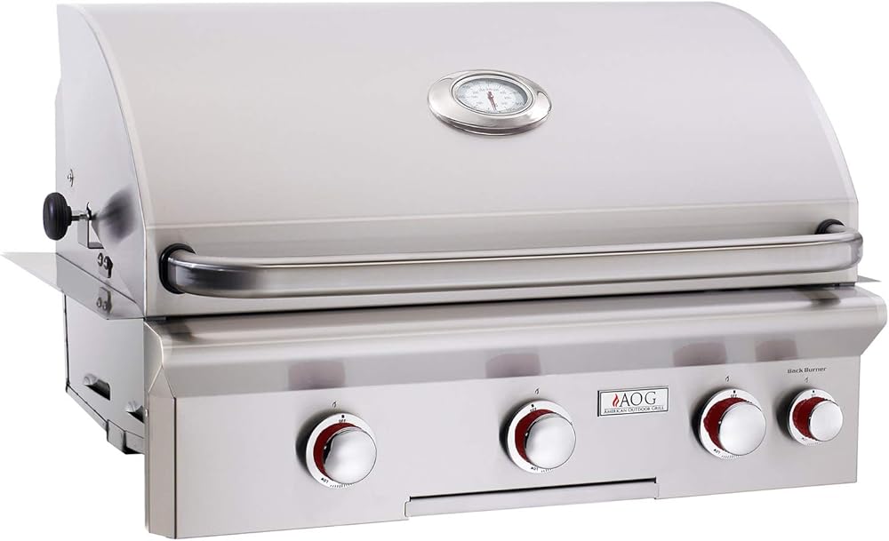 American Outdoor Grill T-series 30-inch Built-in Propane Grill With Rotisserie