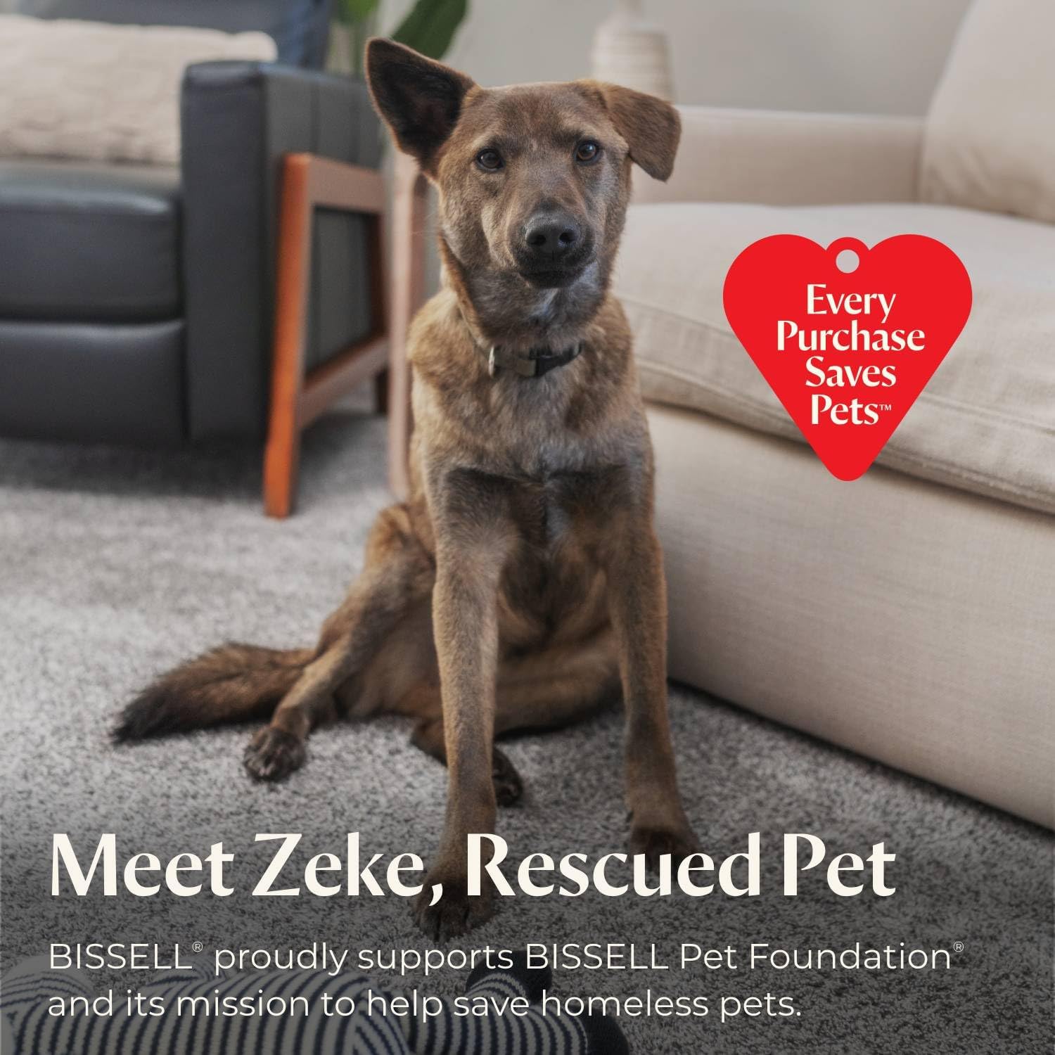 Bissell Pet Hair Eraser Turbo Lift-Off Vacuum, w/Self-Cleaning Brush Roll, HEPA Filtration, Powerful Pet Hair Pickup with TurboBrush Pivot Tool & LED-lit dusting Brush & Crevice Tool, 3774F