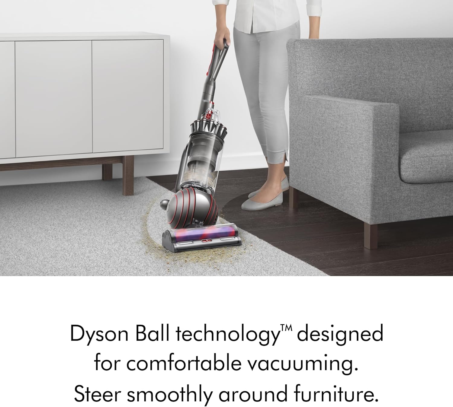 Dyson Ball Animal 3+ (Renewed Premium)