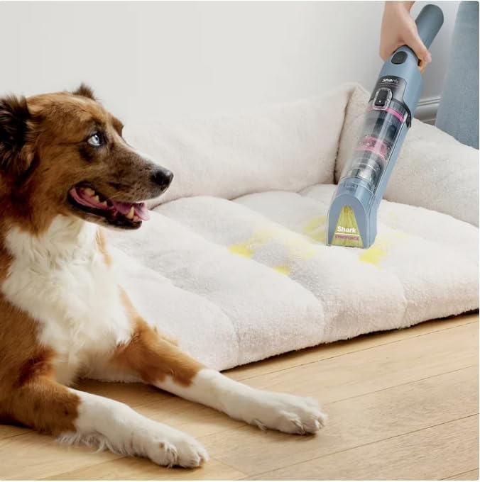 Sharks Cordless Portable Spot Cleaner, Handheld Vacuum for Stain and Odor Removal, Lightweight Bagless Design, 90W Power, Blue