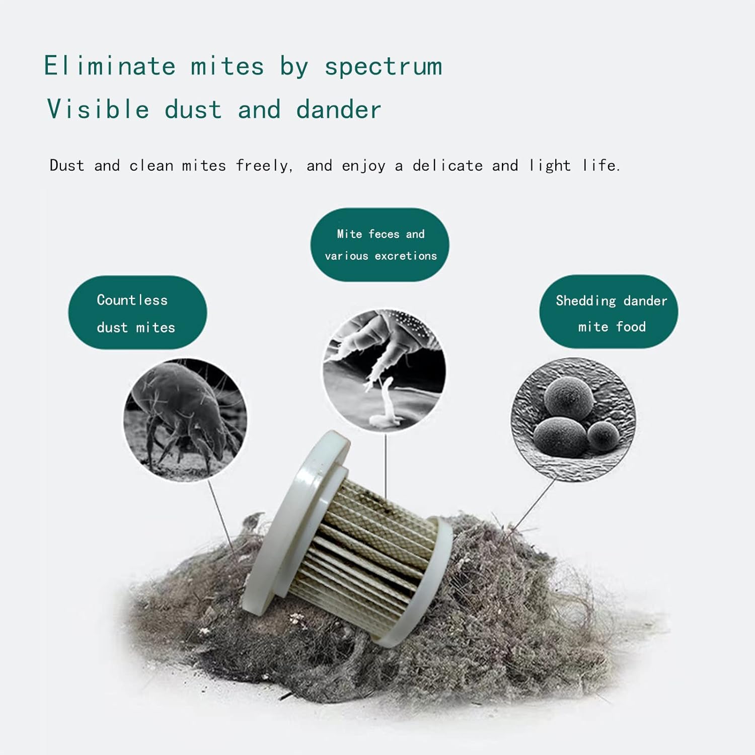 Multi-Purpose Vacuum Cleaner High Power Mattress Vacuum Cleaner Vacuums Du-st,Dirt,Pet Hair with 6000 Per Minute Agitation Washable Filter Great for Sofa,Bed,Carpet