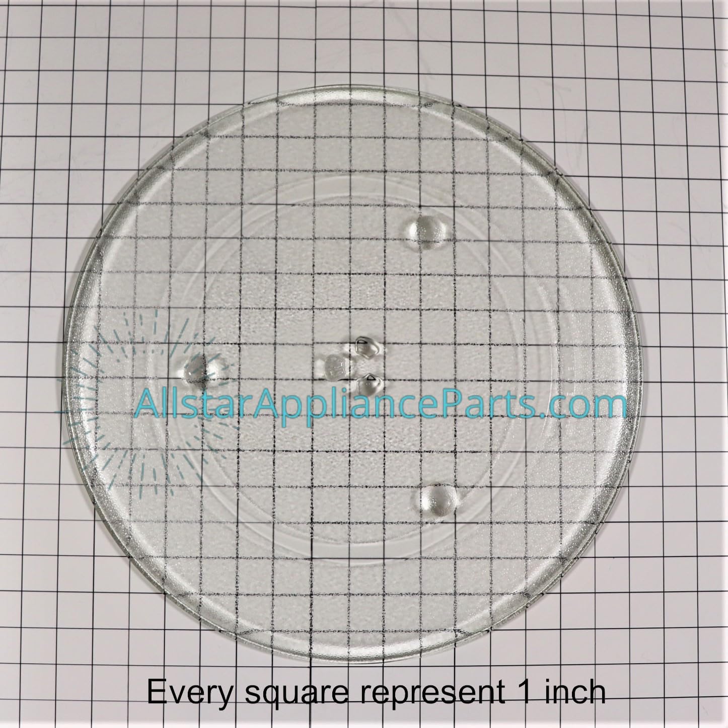 00487763 Microwave Glass cooking tray