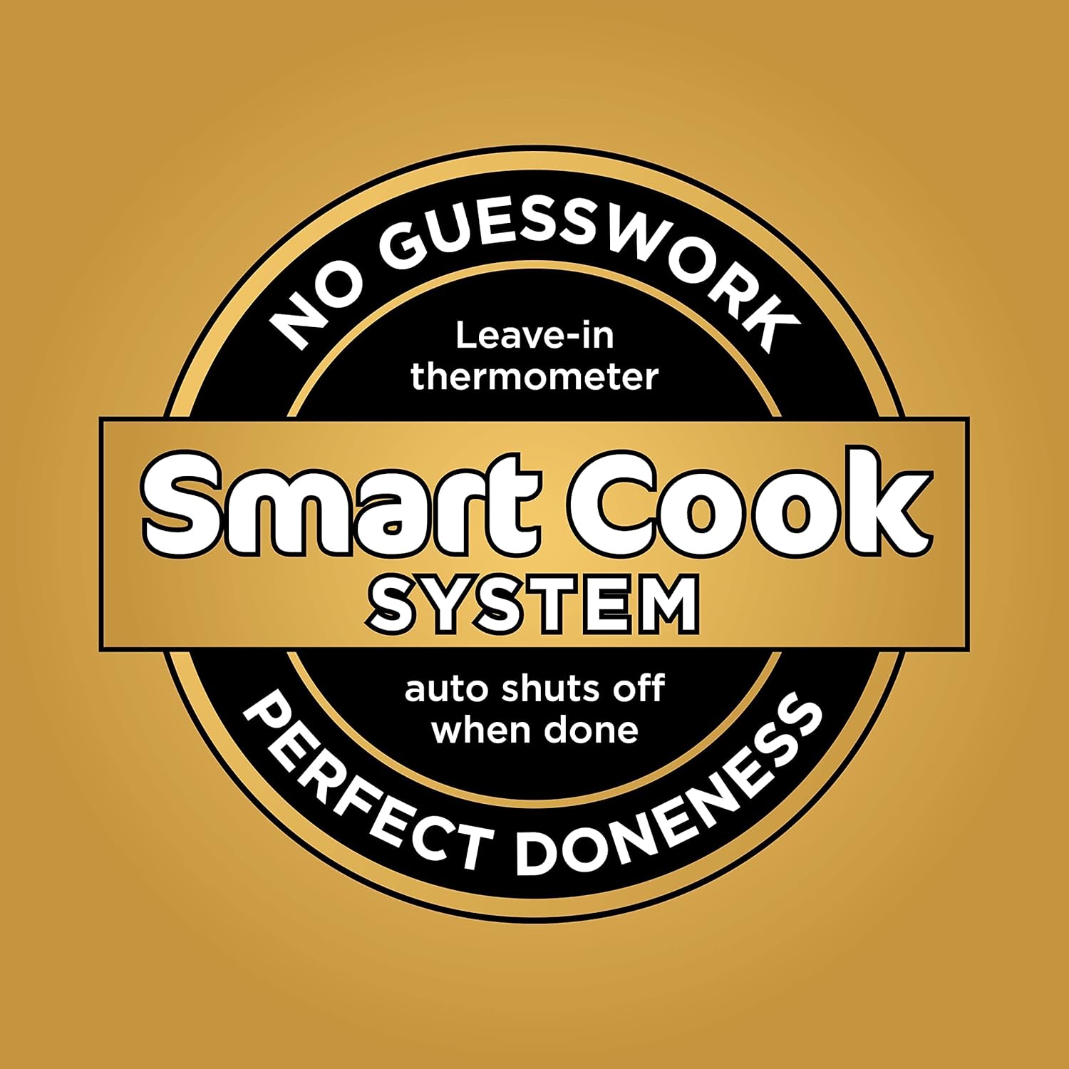 Ninja DZ550 Foodi 10 Quart 6-in-1 DualZone Smart XL Air Fryer with 2 Independent Baskets, Smart Cook Thermometer for Perfect Doneness, Match Cook & Smart Finish to Roast, Dehydrate & More, Grey (Renewed)