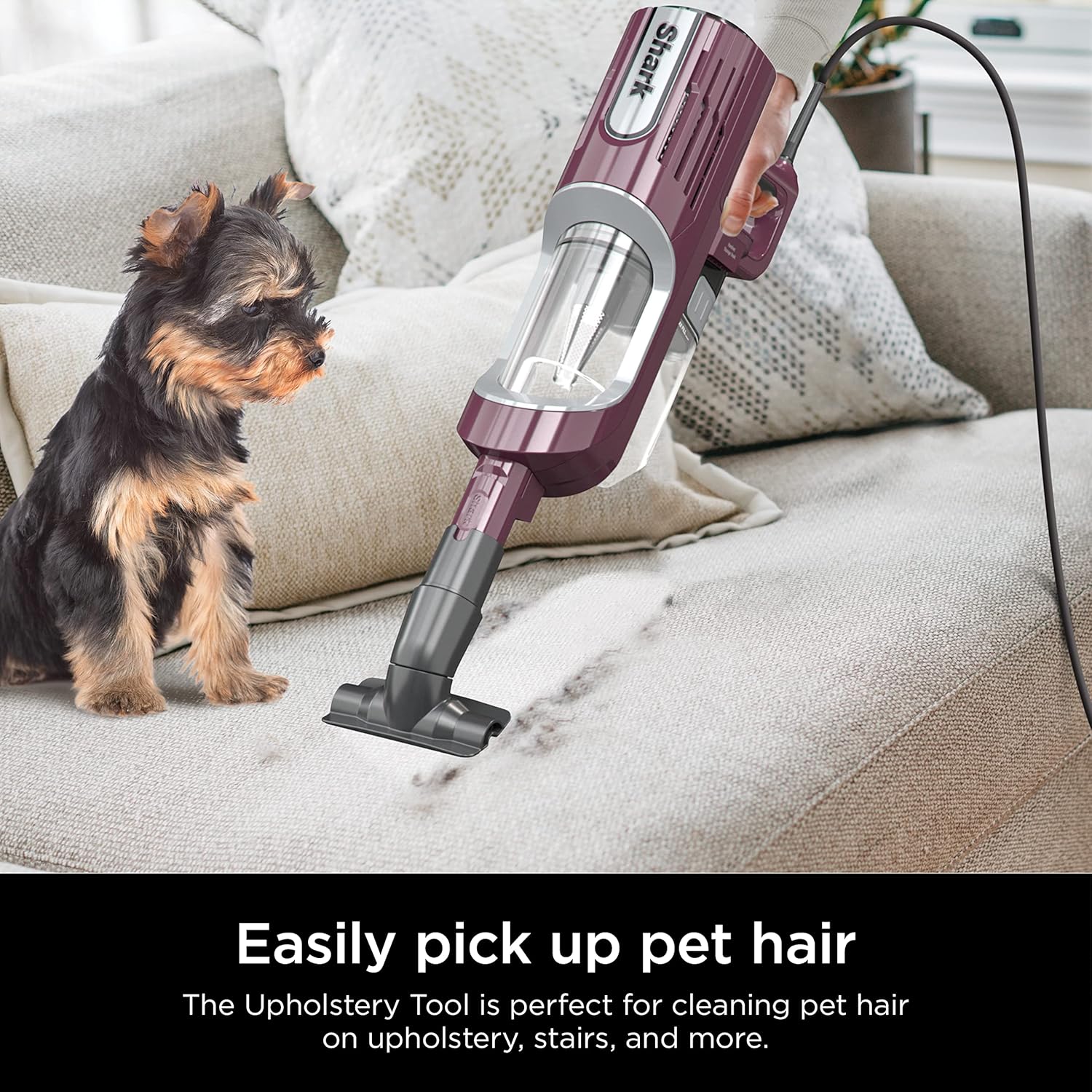 Shark HZ702 Ultralight PetPro Corded Stick Vacuum with PowerFins HairPro Odor Neutralizer Technology, Crevice & Upholstery Tool, Precision Duster, Wine Purple (Renewed)