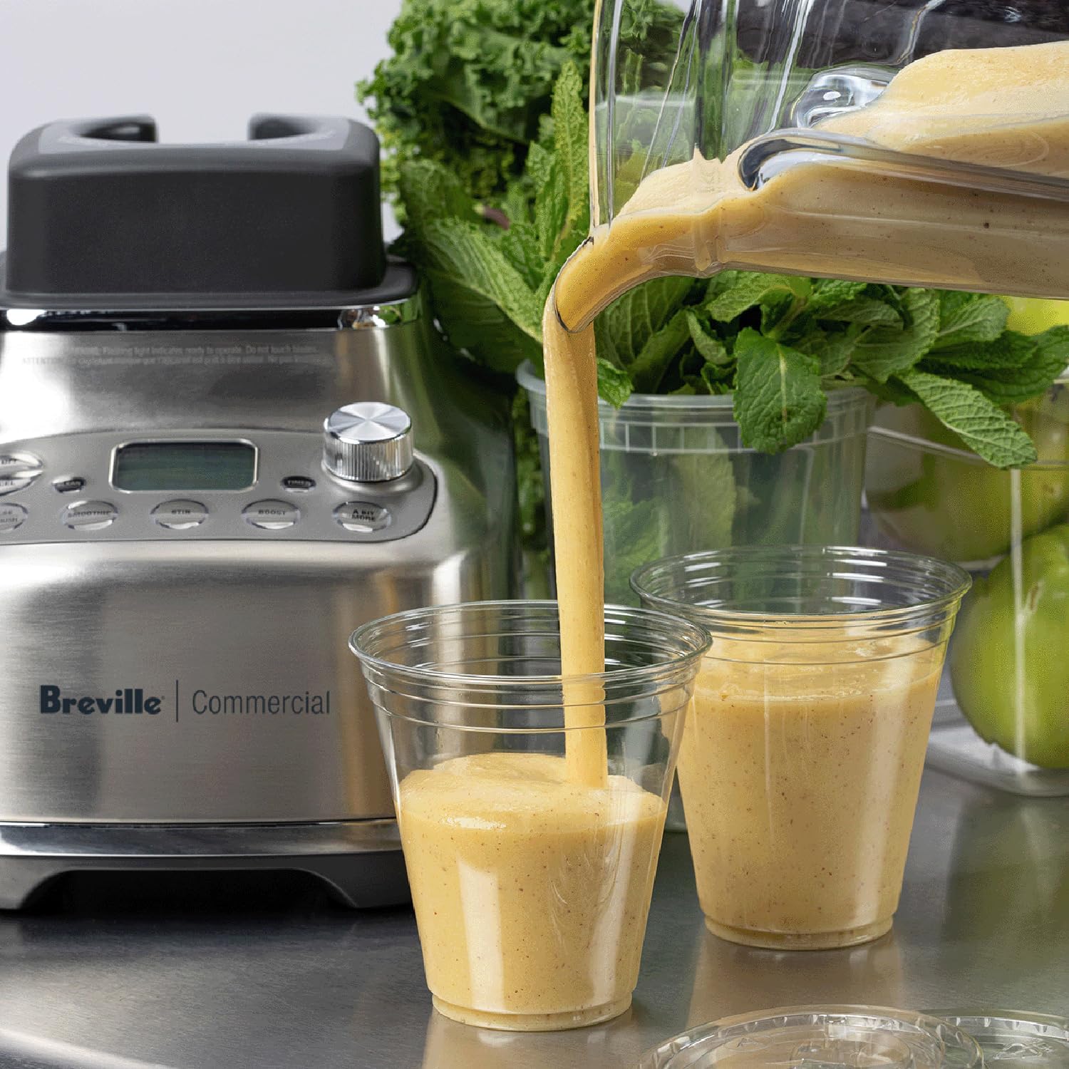Breville Commercial Super Q Pro Blender, Brushed Stainless, CBL920BSS1BNA1, 68 oz Capacity, Brushed Stainless Steel