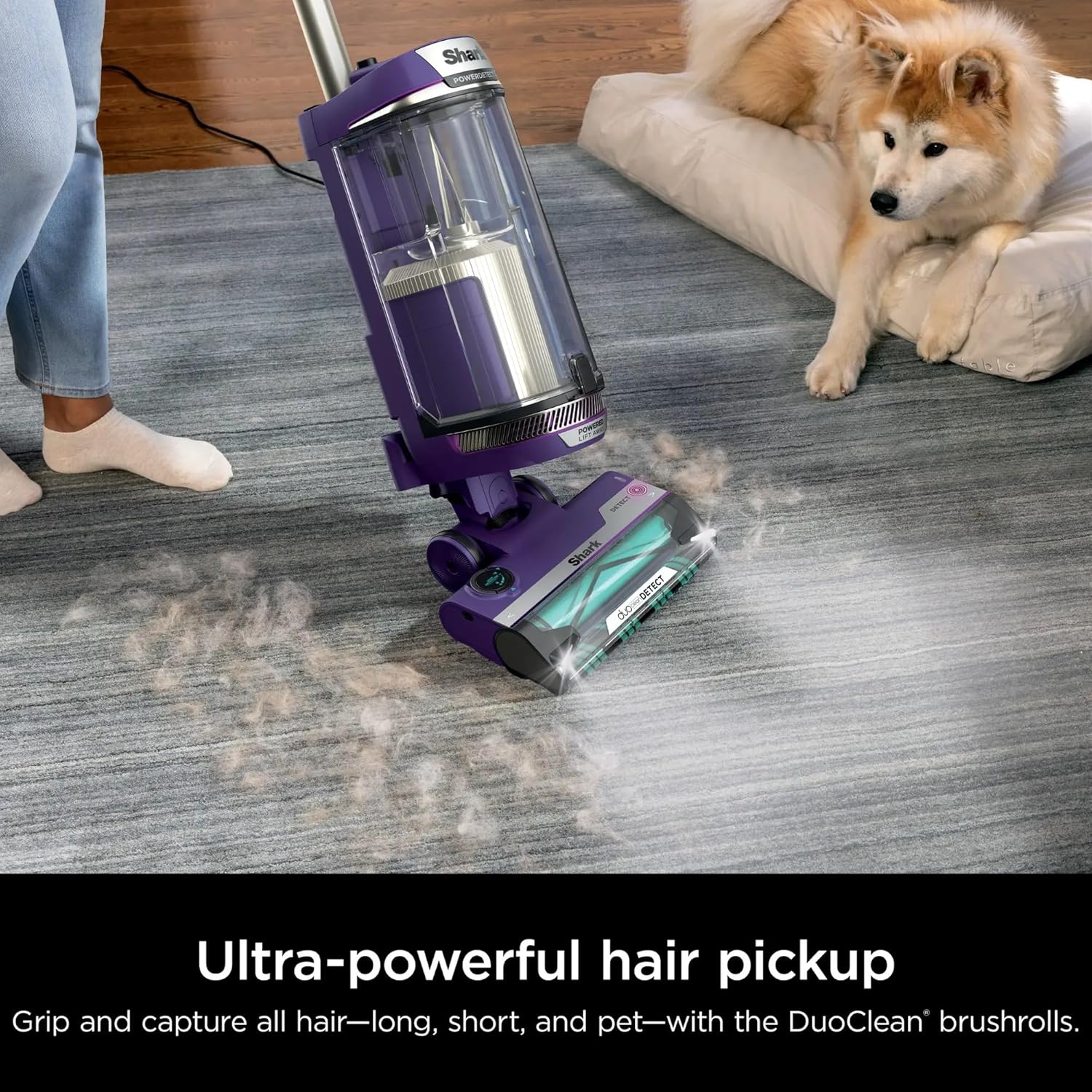SHARK AZ4002W POWERDETECT Upright Vacuum Cleaner with DuoClean Technology, Odor Neutralizer Technology, Powered Lift-Away, Self Cleaning Brushroll, Anti-Allergen Complete Seal (Renewed)