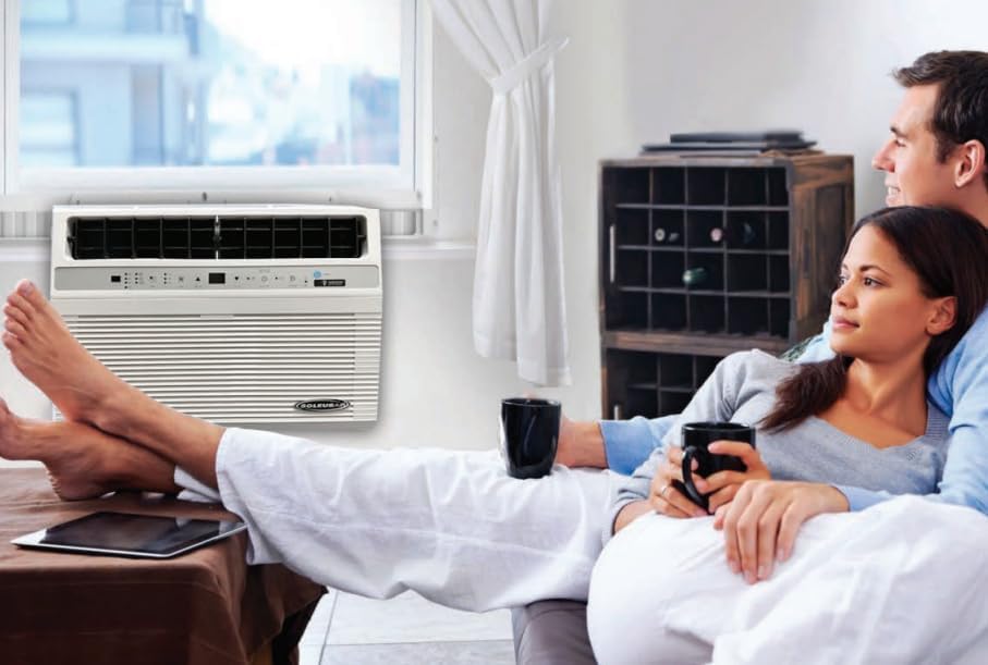 Soleus Air 12,000 BTU Window Air Conditioner with 10,000 BTU Heater, Cooling, 115 Volts, 12.5