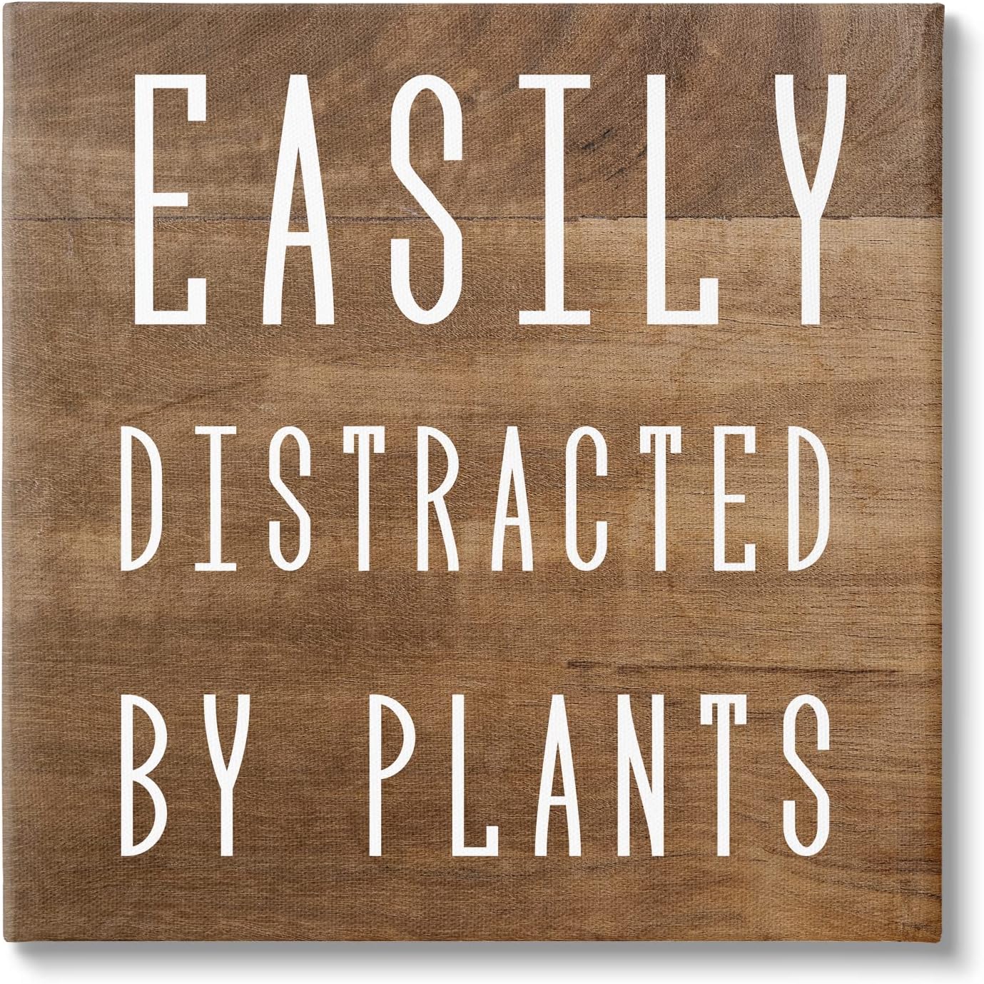 Stupell Industries Easily Distracted By Plants Rustic Plank Patterned Text, Design by Daphne Polselli