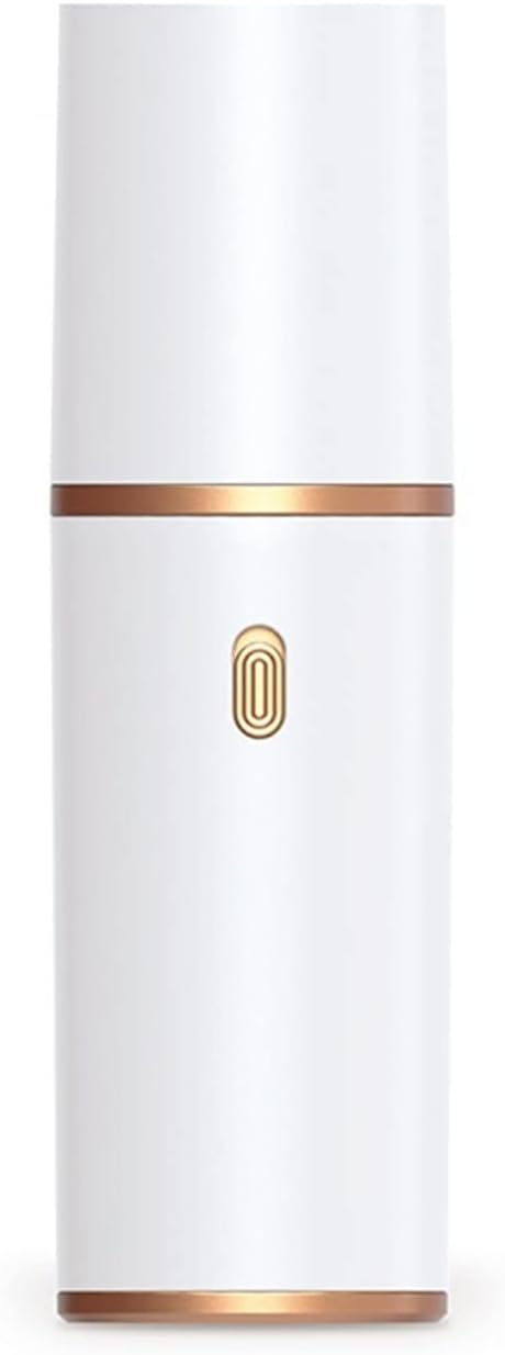 Portable Handheld Vacuum Cleaner for Home Car Mini Cordless Dust Collector Cyclone Vacuum Cleaner (Color : C)