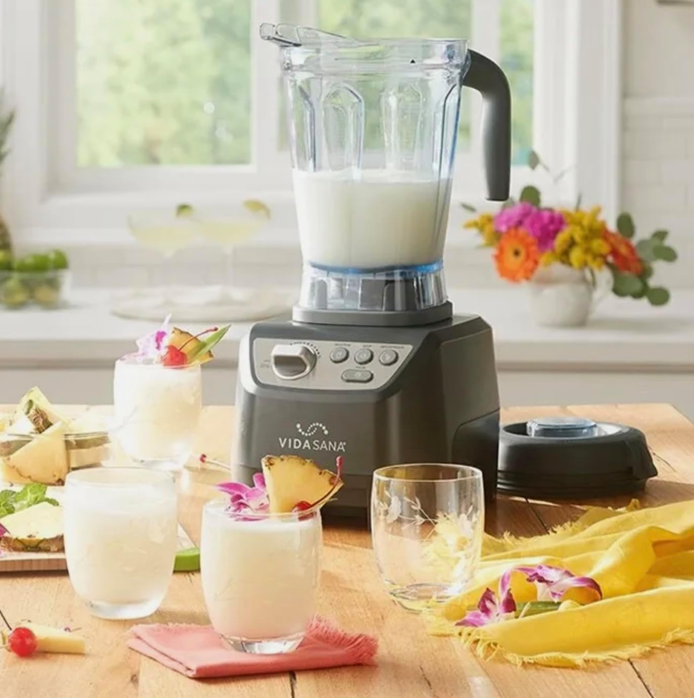 Princess House VIDA SANA ELECTRICS High-Power Blender 4571