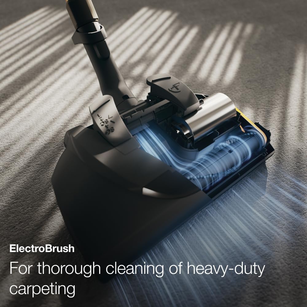 Palmandpond Miele Classic C1 Cat and Dog, Mango Red