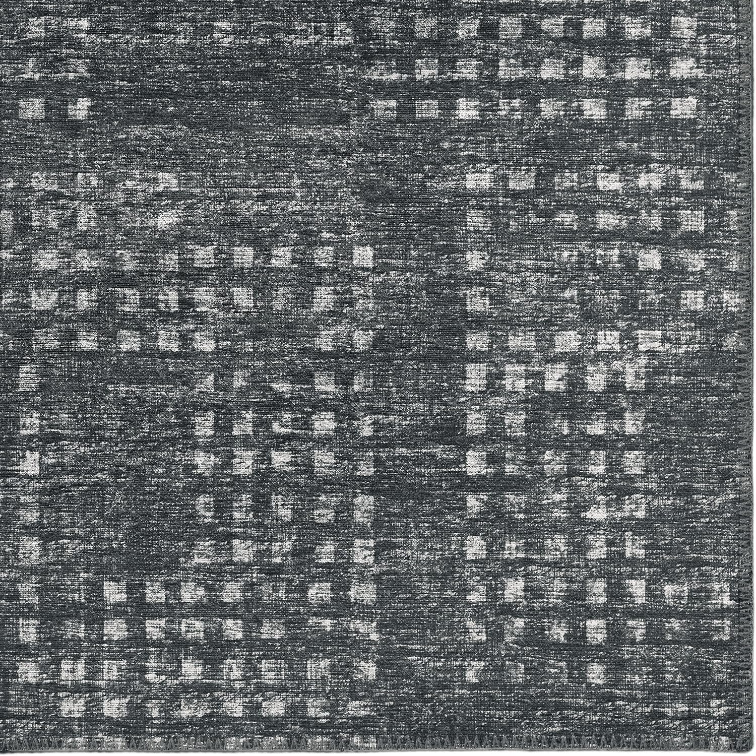 Addison Rugs Eleanor AER31 Black 2'3