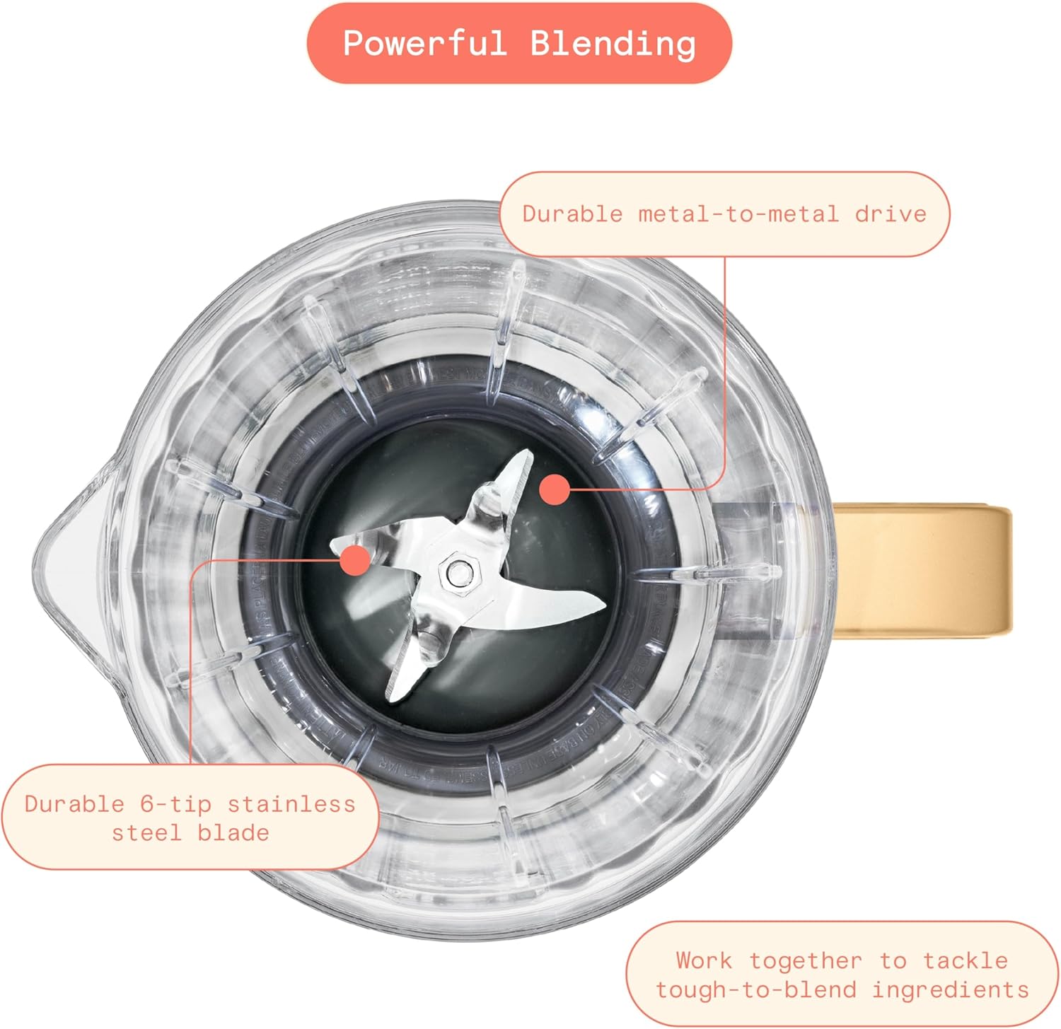 B'eautiful PowerExact High-Performance 700-Watt Blender by Drew Barrymore, 50-Ounce Pitcher, Stainless 4-Tip Blade, 3 Speeds + 4 Presets, Dishwasher-Safe Parts, Travel Cup Included (Lavender)