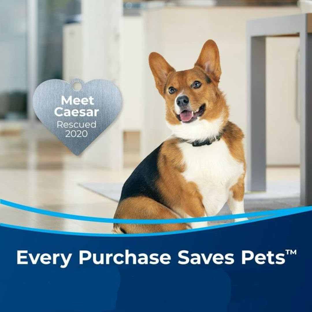 BIISSEELL PowerForce Helix Turbo Rewind Pet Upright Vacuum High Suction for Deep Cleaning