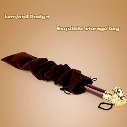 Luxury Lion Head Shoe Horn for Seniors - Long Handle Shoe Lifter with Exquisite Storage Bag, Ideal for Easy Footwear Access - Perfect Household Helper (58x3.5cm)