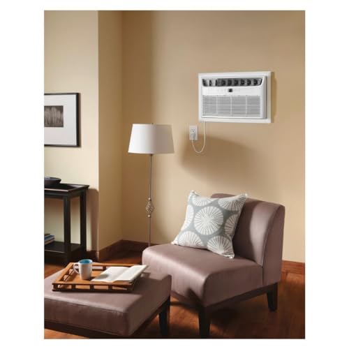 Frigidaire 10,000 BTU 230-Volt Through-The-Wall Air Conditioner Cools 450 Sq. Ft. with Remote Conrol in White FHTC103WA2