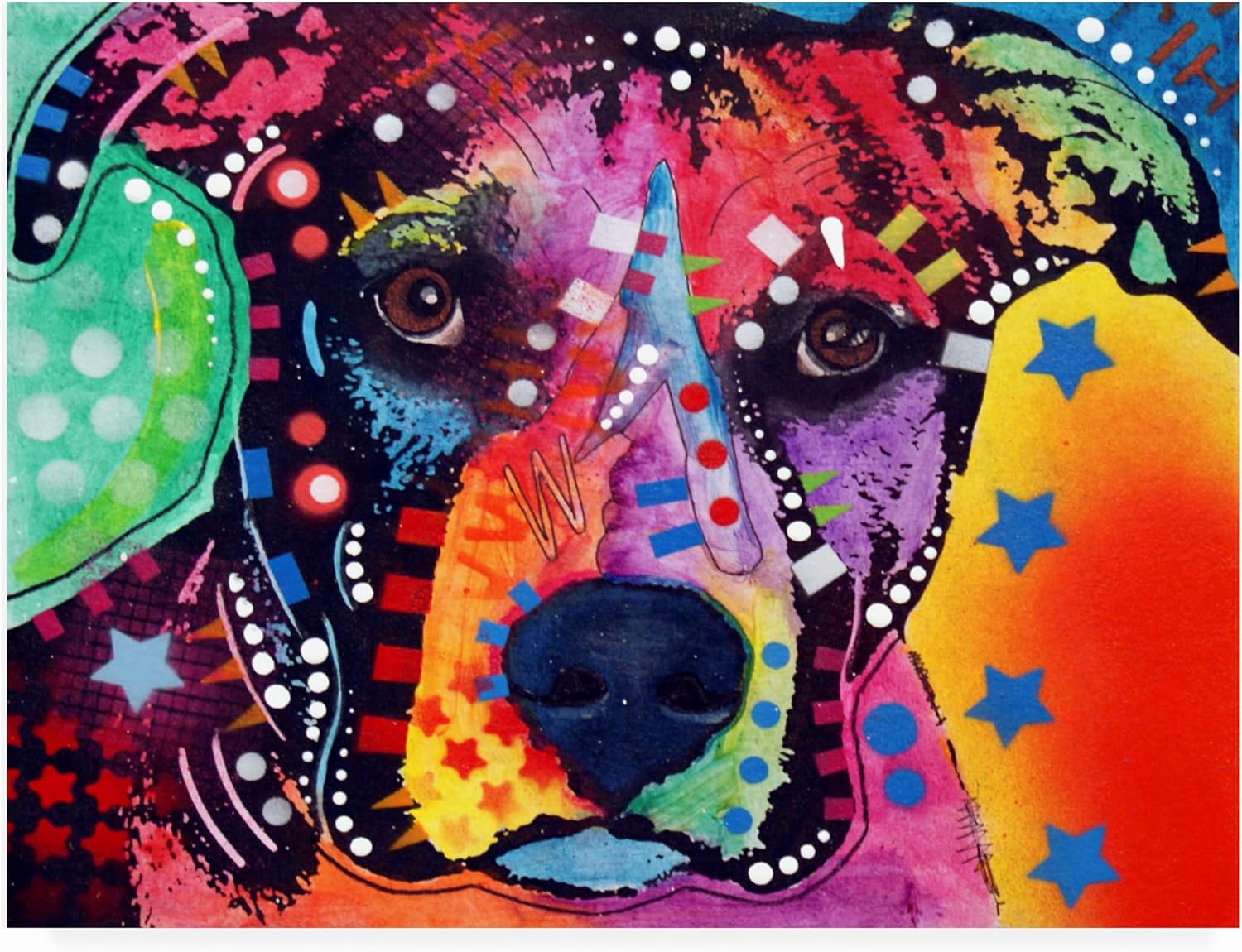 Trademark Fine Art ' B1 ' Outdoor Canvas by Dean Russo