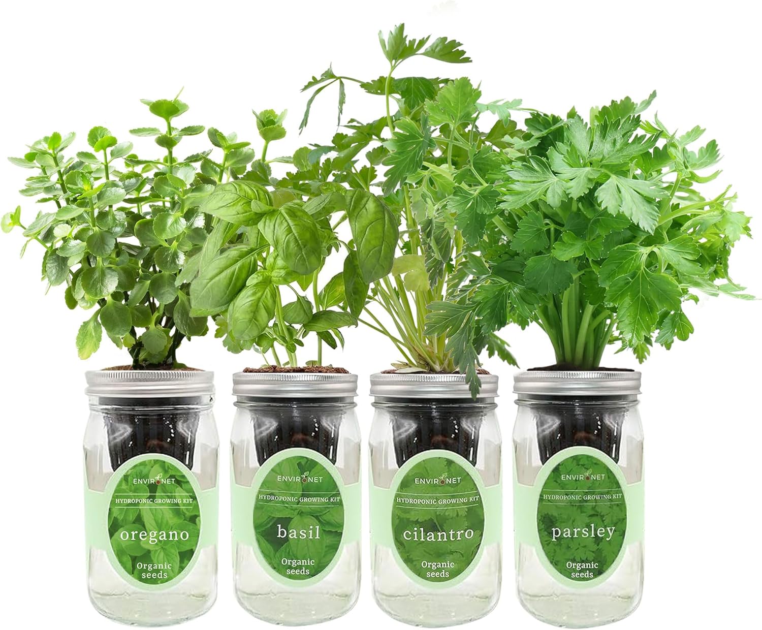 Hydroponic Herb Growing Kit Set, Self-Watering Mason Jar Herb Garden Starter Kit Indoor, Grow 4 Kinds of Herbs from Seeds (Cilantro,Basil,Parsley&Oregano)
