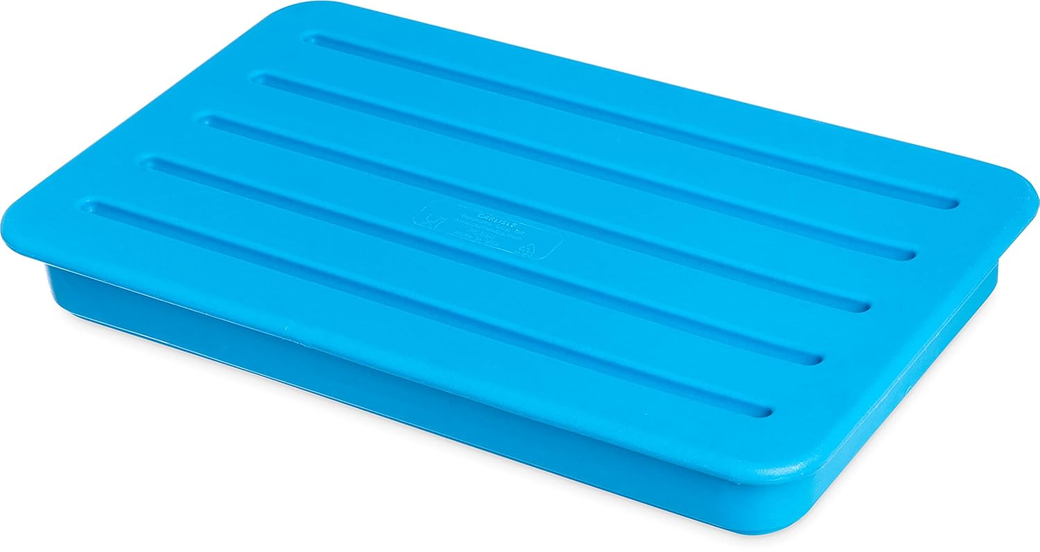 Carlisle FoodService Products Catercooler Coldpack for Cateraide for Catering, Events, And Restaurants, Plastic, 20.75 X 12.75 X 2.5 Inches, Blue