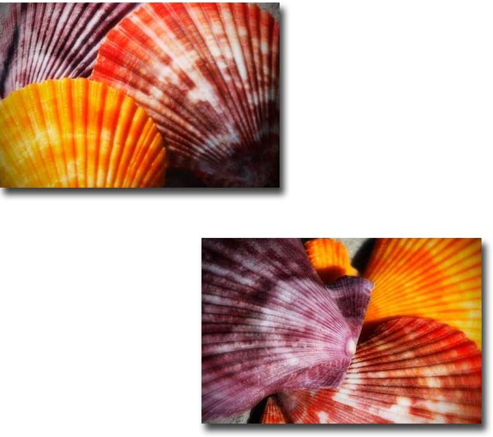 Scallops I & II by Alan Hausenflock 2-pc Premium Gallery Wrapped Canvas Giclee Art Set (Ready-to-Hang)