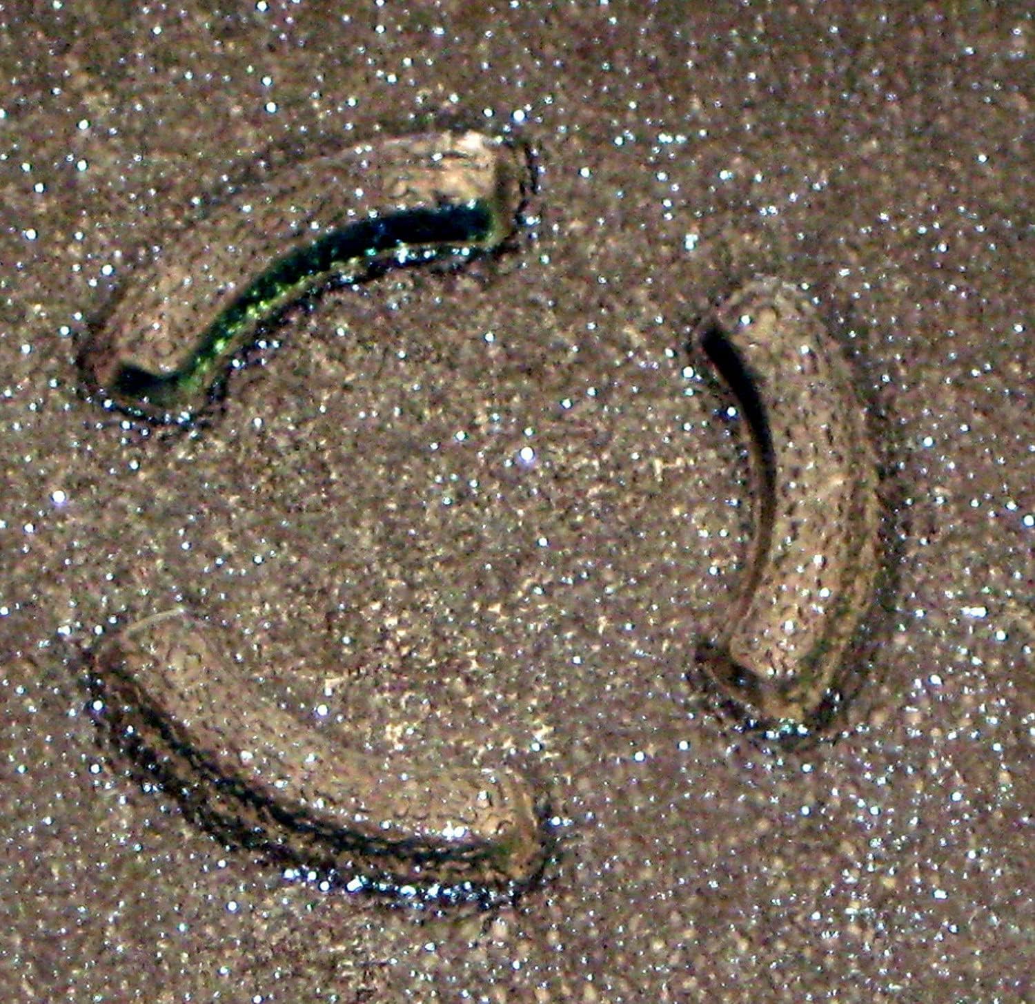 30QBP4185 Microwave Glass tray Plate fit for Whirlpool 4393799, PS373741, AP3130793, 8206226